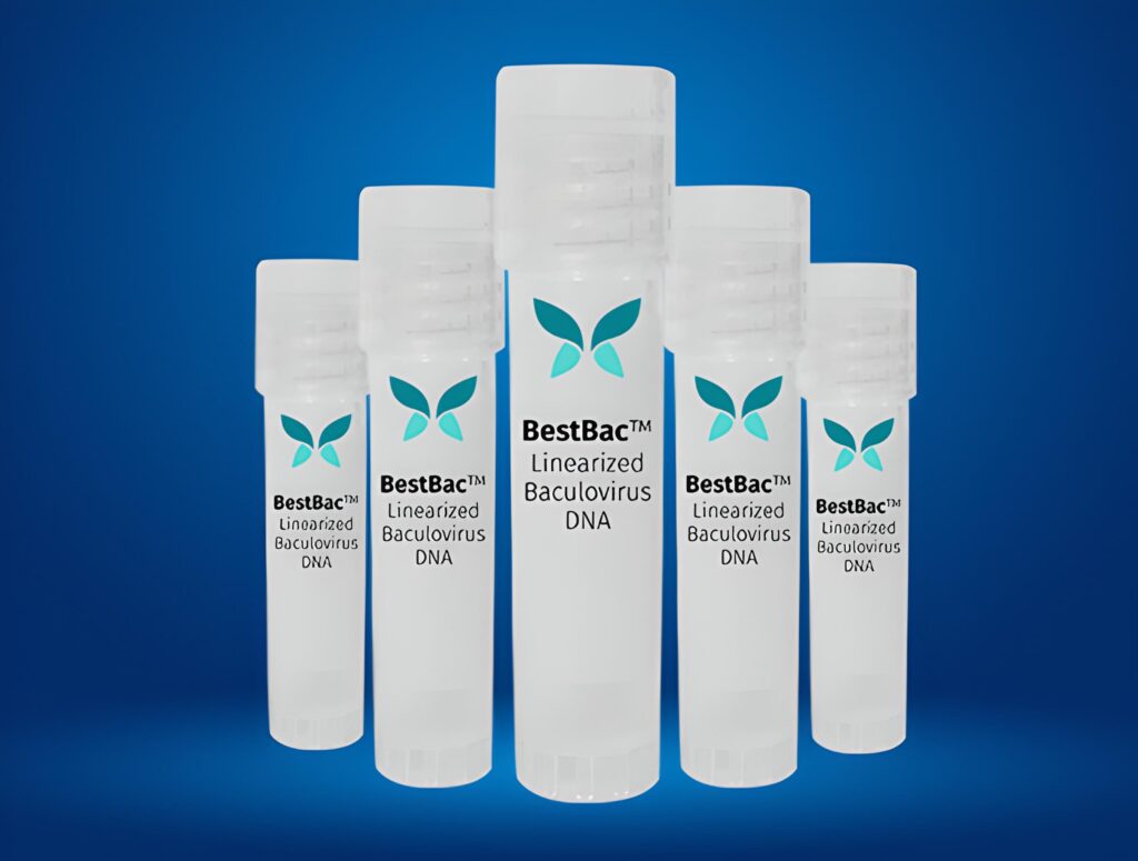 Molecular Tools - CellTricks Biotech Pvt Ltd