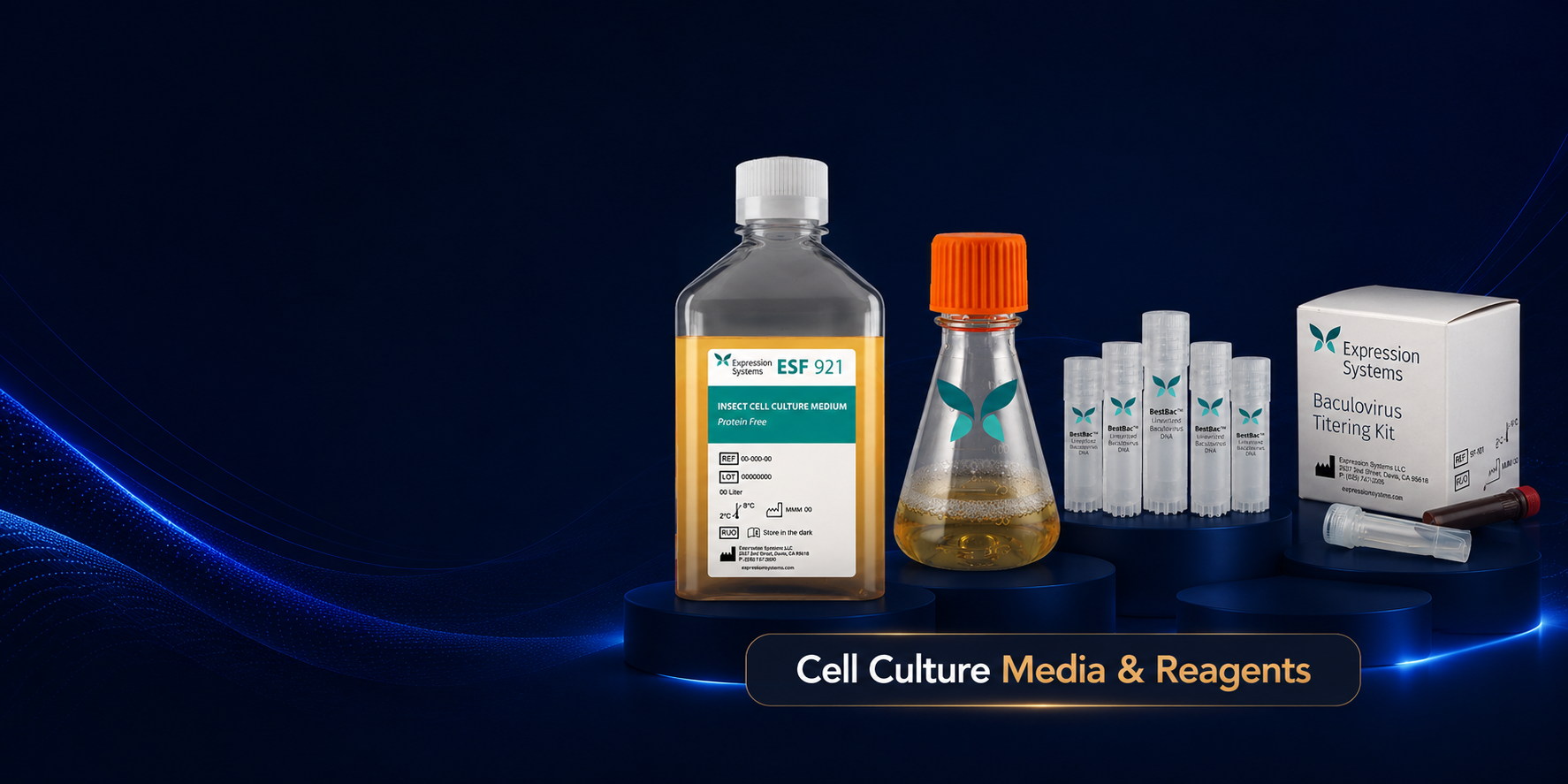 Cell Culture Media & Reagents