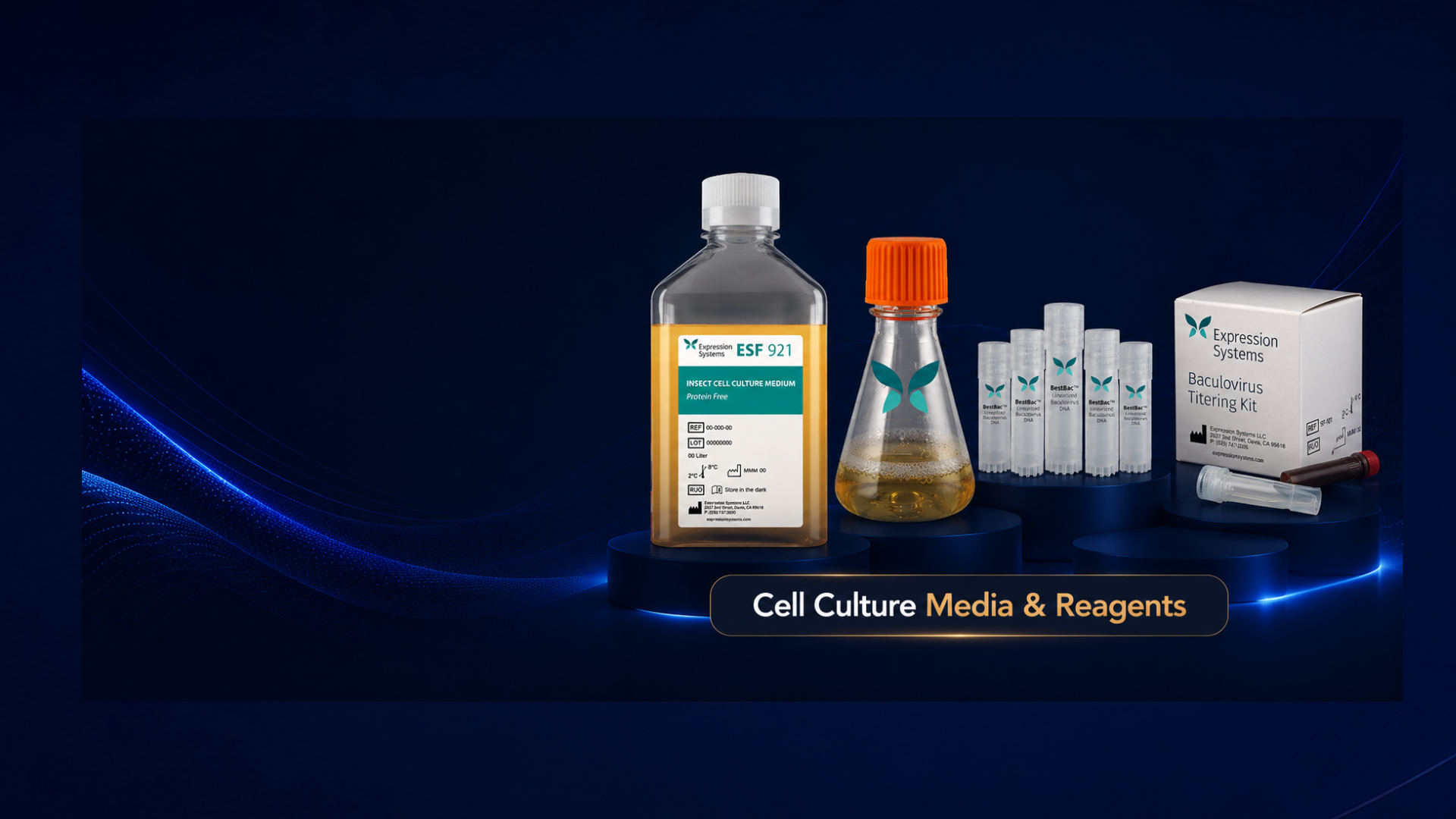 Cell Culture Media & Reagents