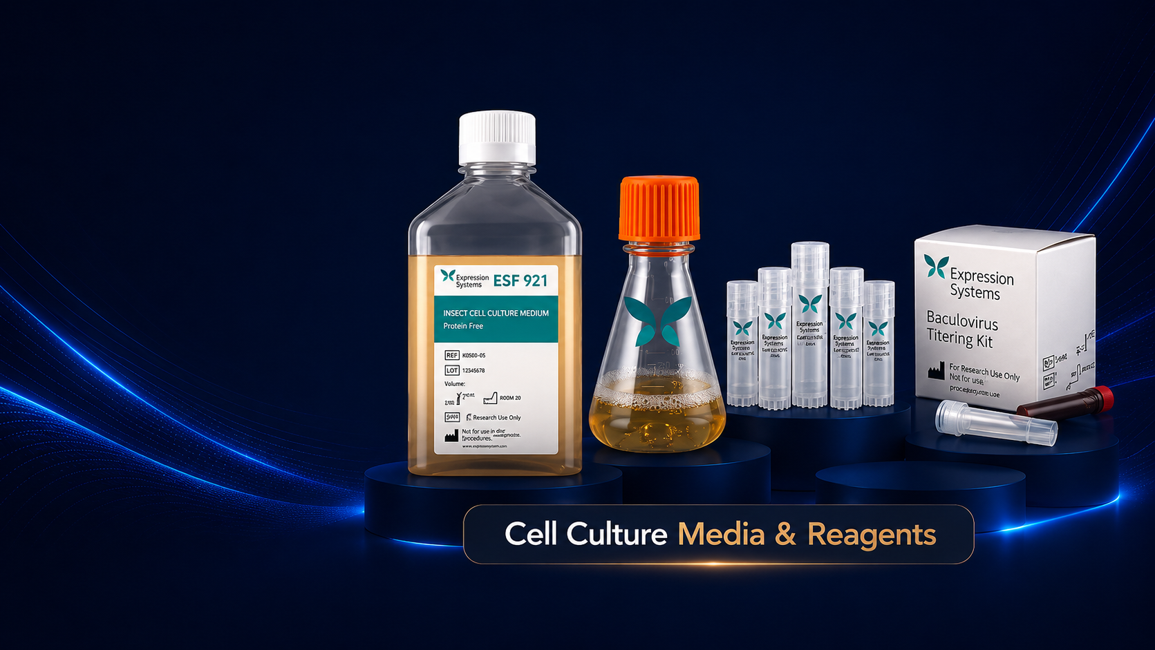 Cell Culture Media & Reagents
